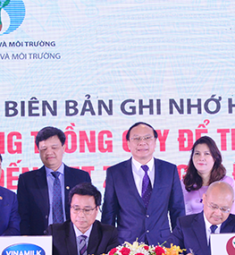 Câu chuyện 